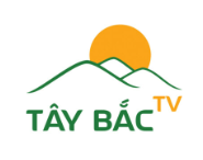 taybac.tv